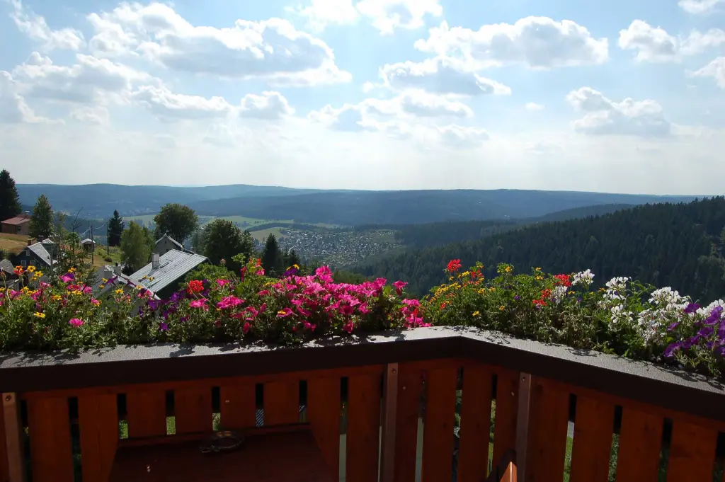 Zimmer 5 - Terrasse Blick von einem Balkon mit blühenden Blumenkästen auf ein bewaldetes Tal und eine Ortschaft unter bewölktem Himmel.
