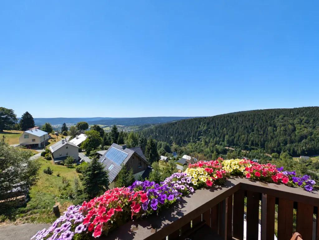 Blick von einem Balkon mit blühenden Blumenkästen auf ein bewaldetes Tal und eine Ortschaft unter bewölktem Himmel.